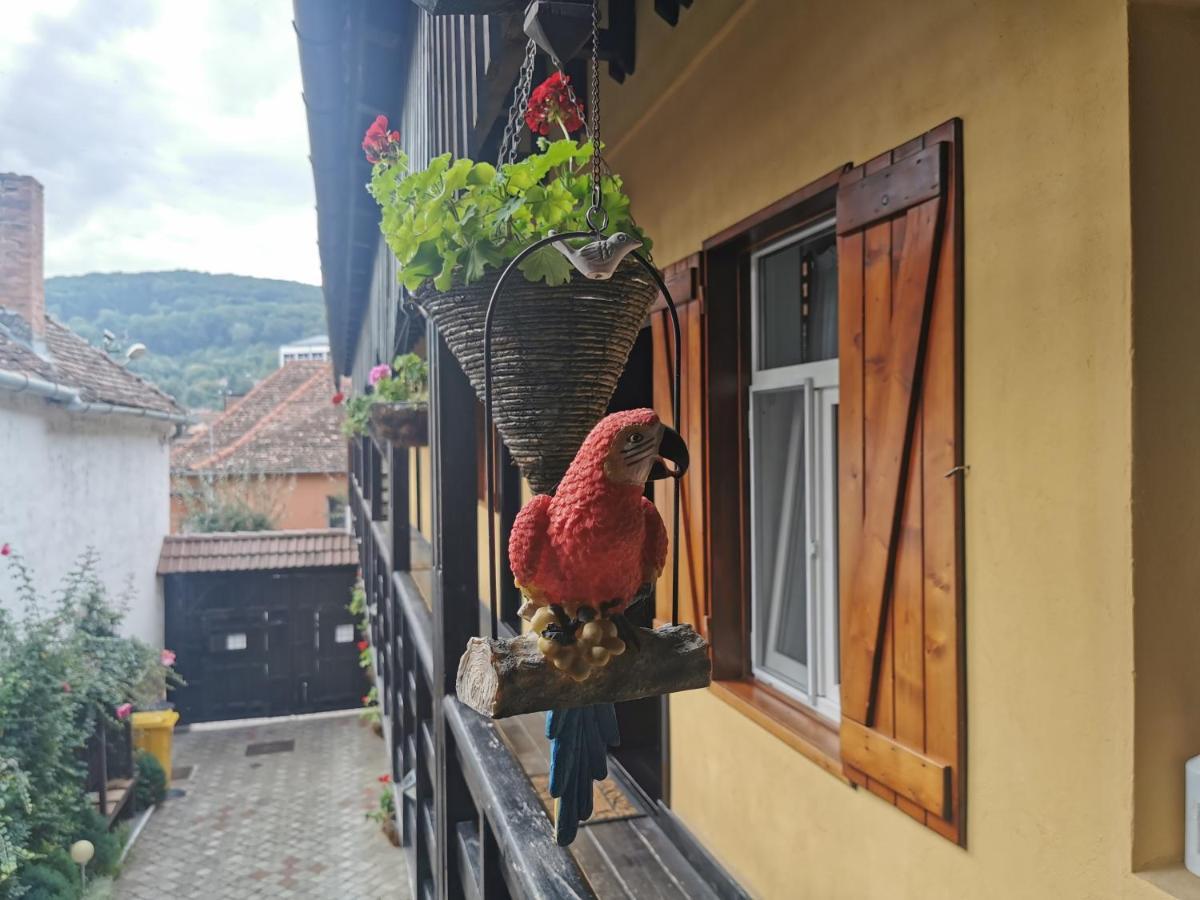 Hôtel Casa Cu Cerdac à Sighişoara Extérieur photo